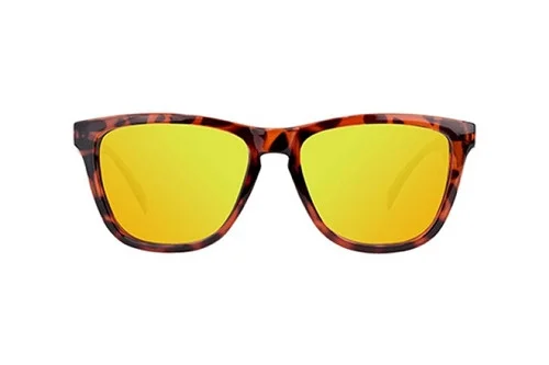 boardparadise-1202605131555483833775