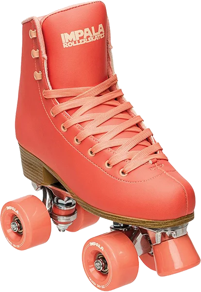 boardparadise-2202605150245144055834